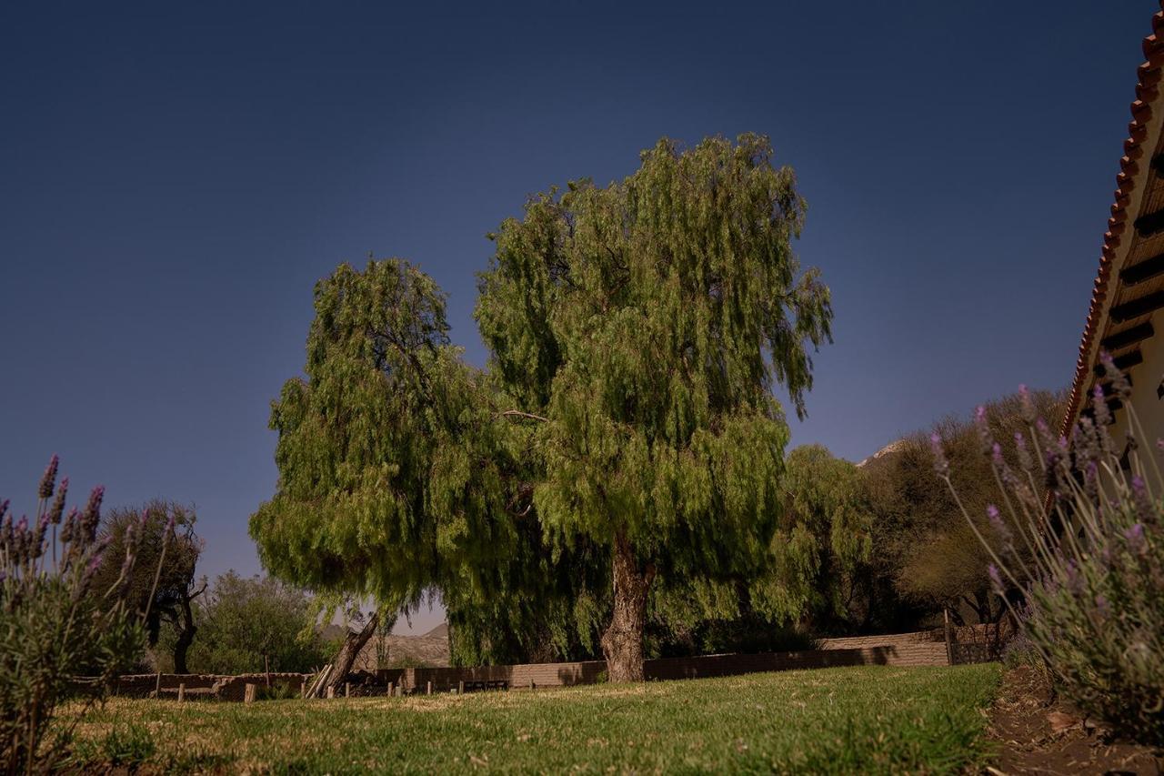 Hacienda De Molinos Hotel מראה חיצוני תמונה